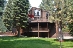 A Slice of Silver Fir Truckee